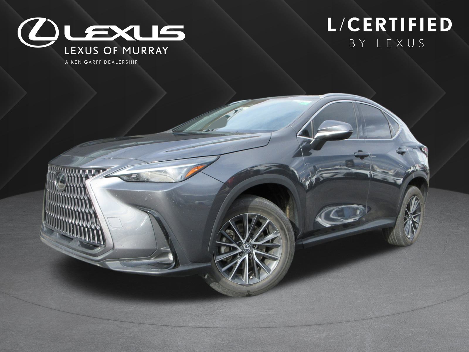 2023 Lexus NX 250's photo