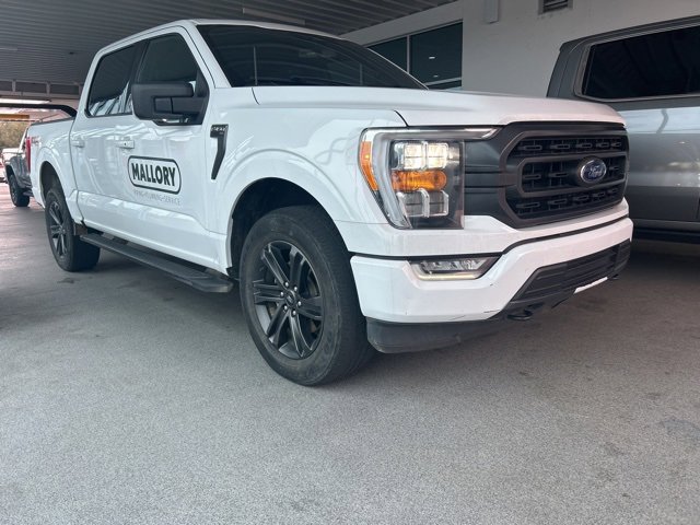 2021 Ford F-150 XLT's photo