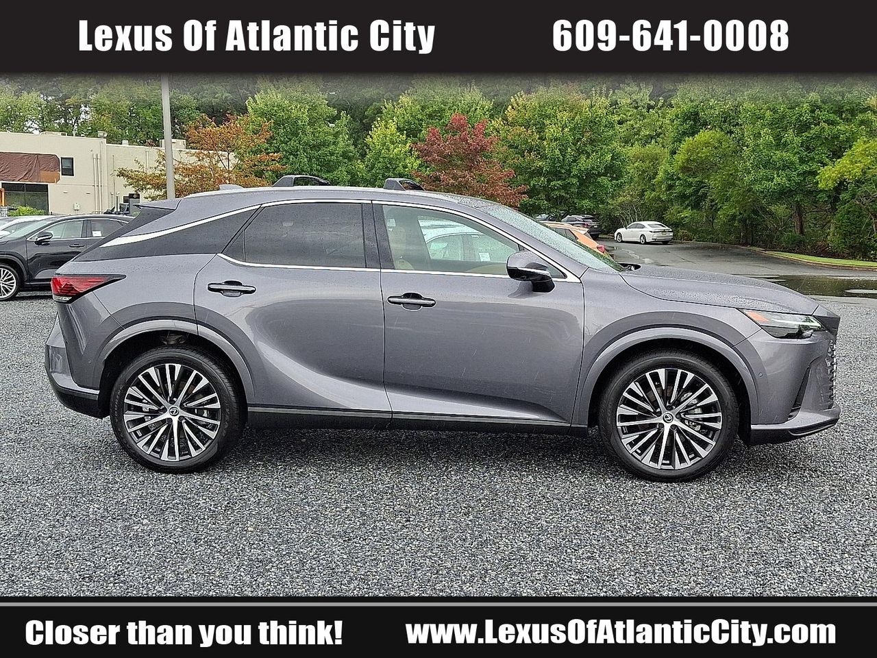 2023 Lexus RX 350h photo 7