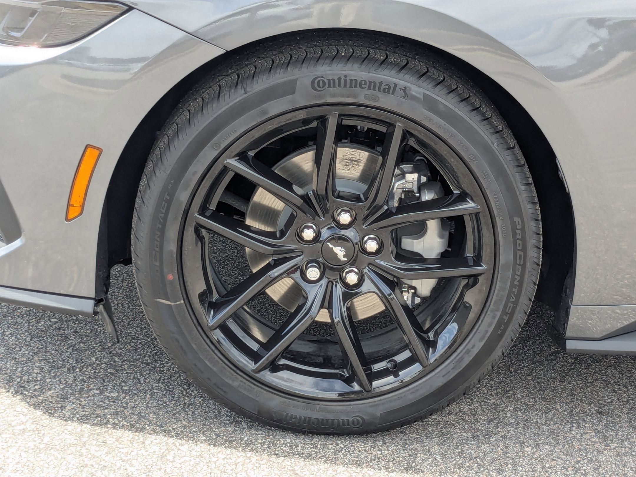 2025 Ford Mustang EcoBoost Premium photo 3