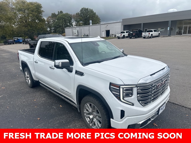 2022 Gmc Sierra 1500 Denali photo 4