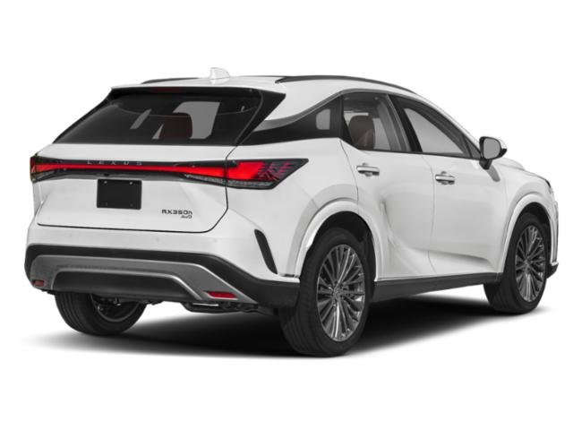 2025 Lexus RX 350h Luxury photo 5