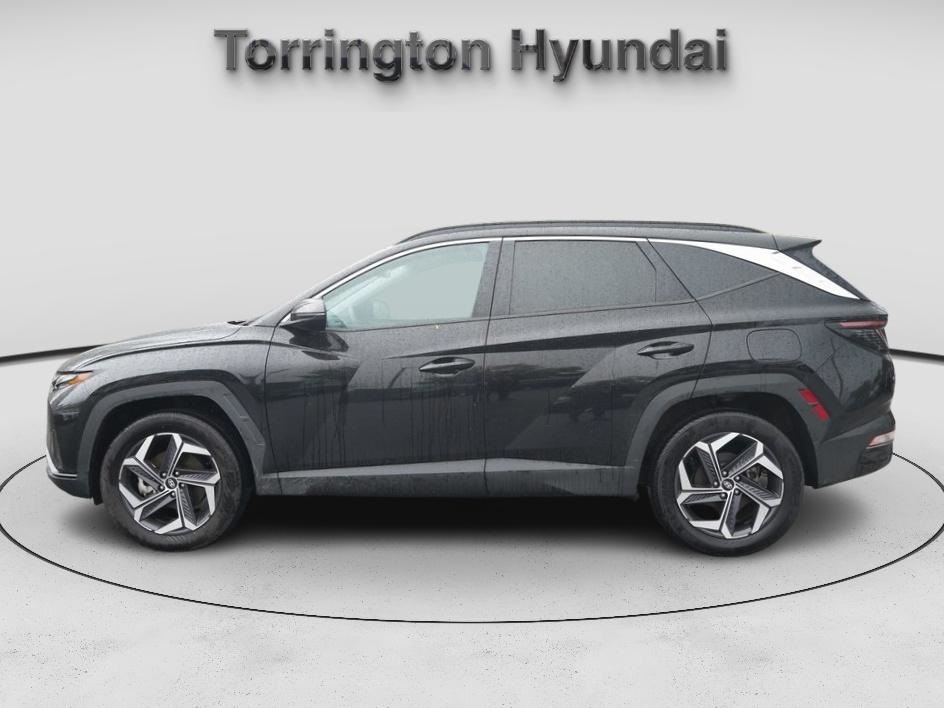 2024 Hyundai Tucson Hybrid SEL Convenience photo 2