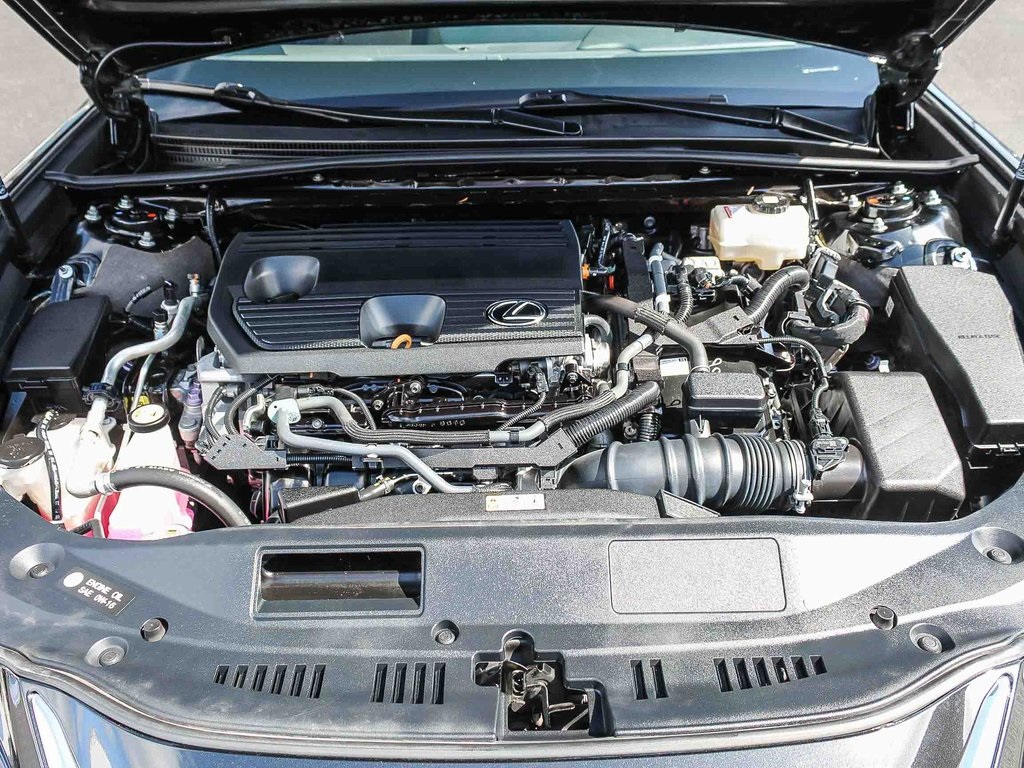 2023 Lexus ES 300h photo 26