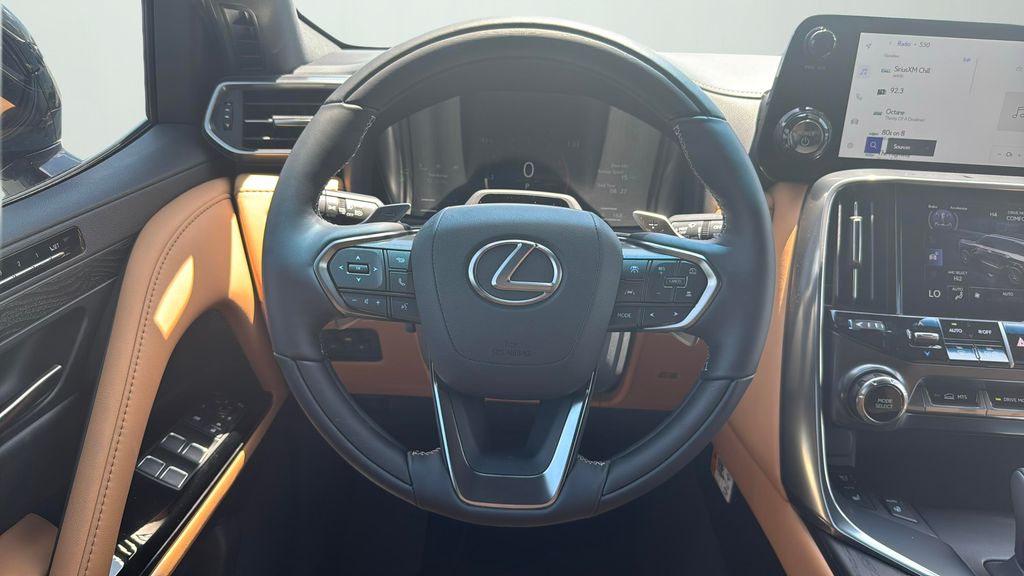 2025 Lexus LX Luxury photo 11