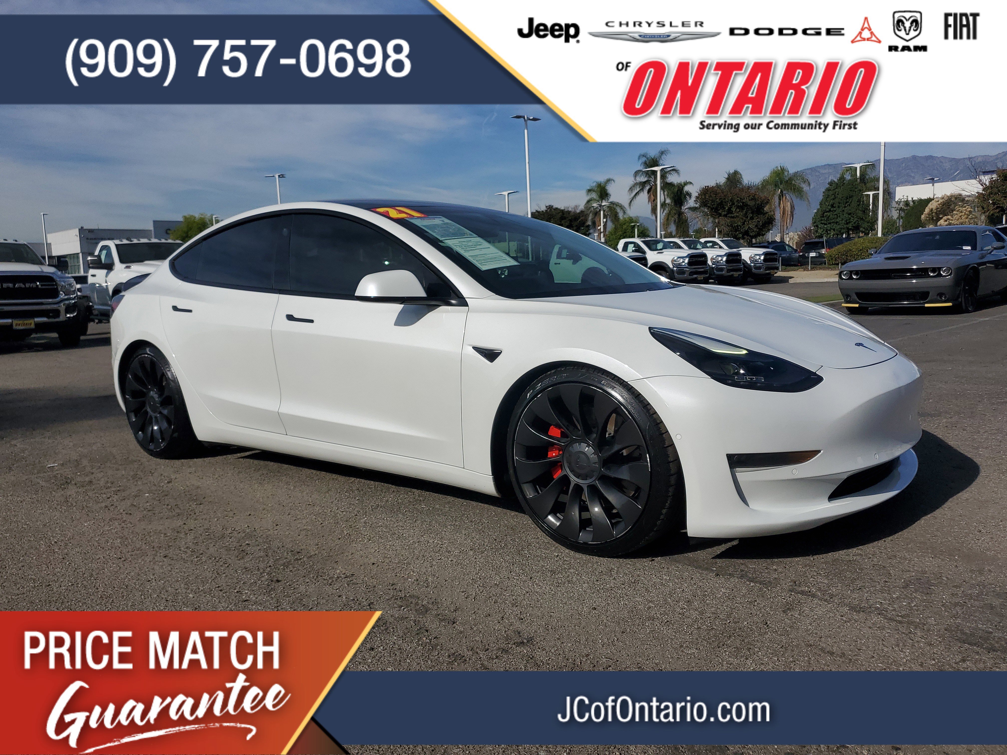 2021 Tesla Model 3 Base's photo