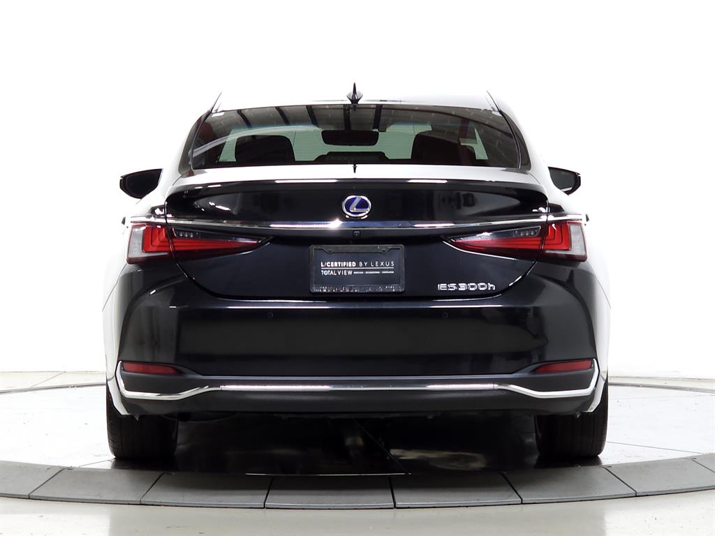 2020 Lexus ES 300h photo 6