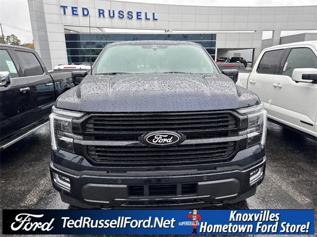 2025 Ford F-150 Platinum photo 2