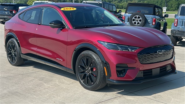2025 Ford Mustang Mach-E Premium AWD's photo