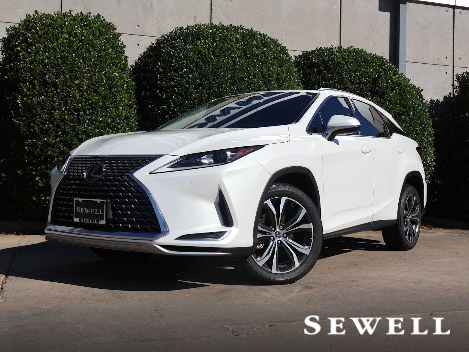 2021 Lexus RX 350's photo