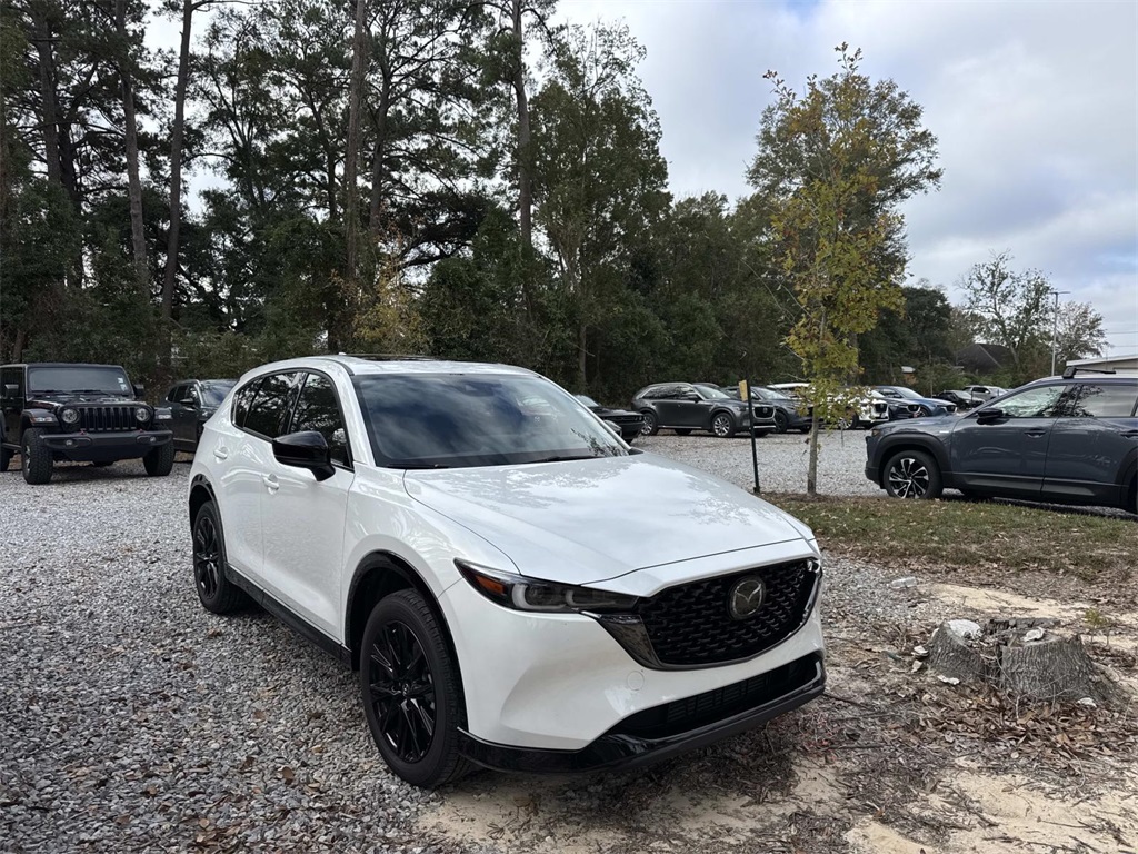 2024 Mazda CX-5 2.5 Carbon Turbo photo 3