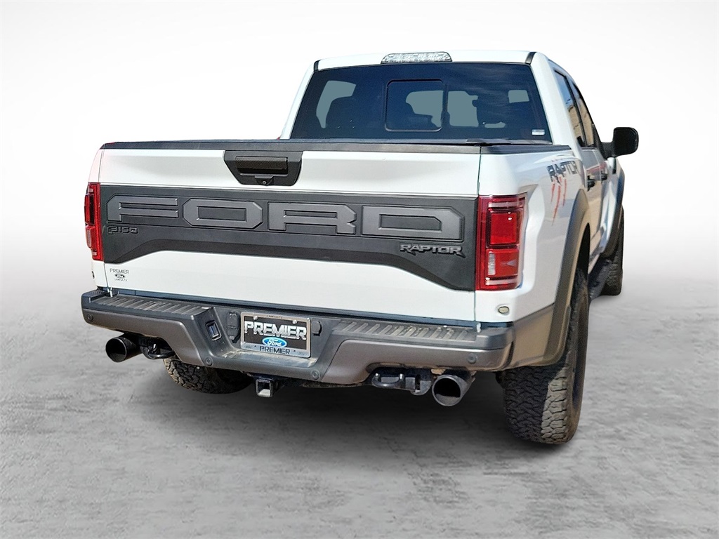 2020 Ford F-150 Raptor photo 10