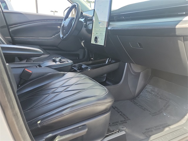 2021 Ford Mustang Mach-E Select photo 19