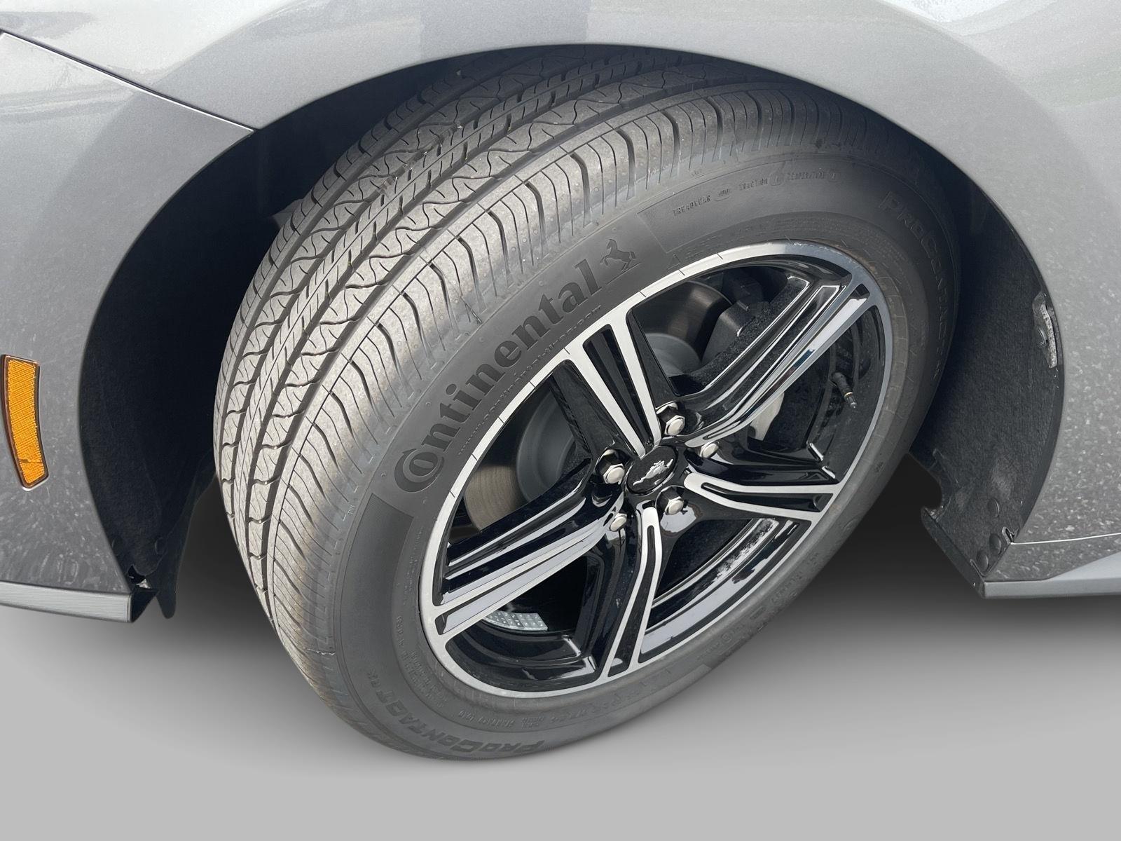 2025 Ford Mustang EcoBoost photo 2