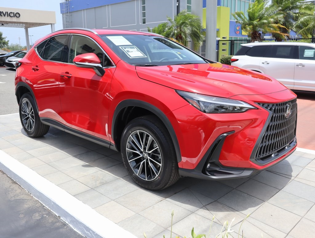2025 Lexus NX 250 photo 3