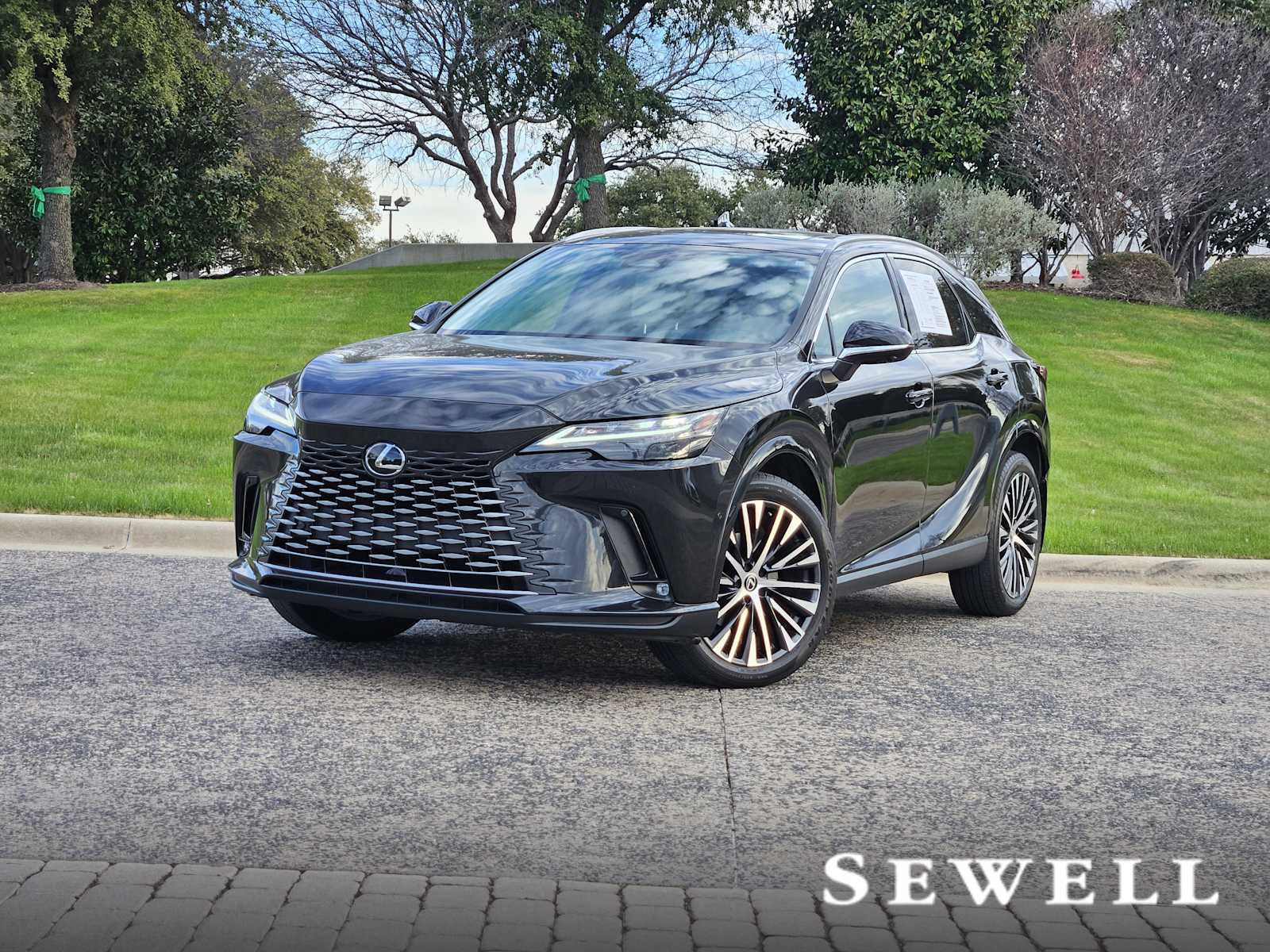 2024 Lexus RX 350's photo