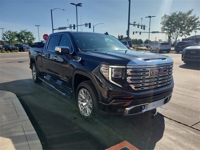 2022 Gmc Sierra 1500 Denali photo 3