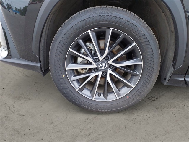 2024 Lexus NX 350h Premium photo 13