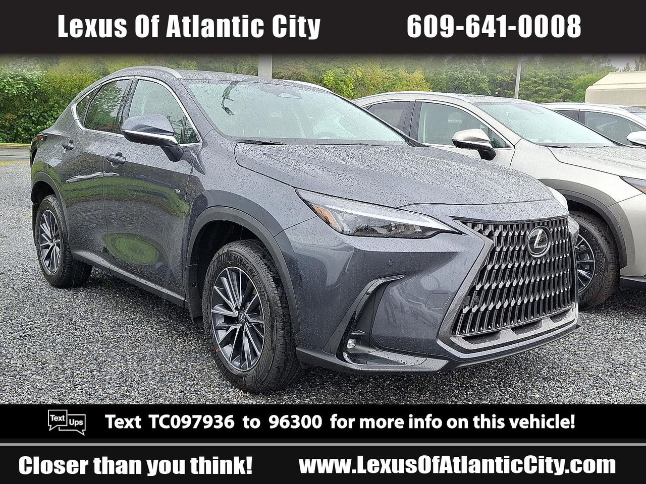 2026 Lexus NX 350