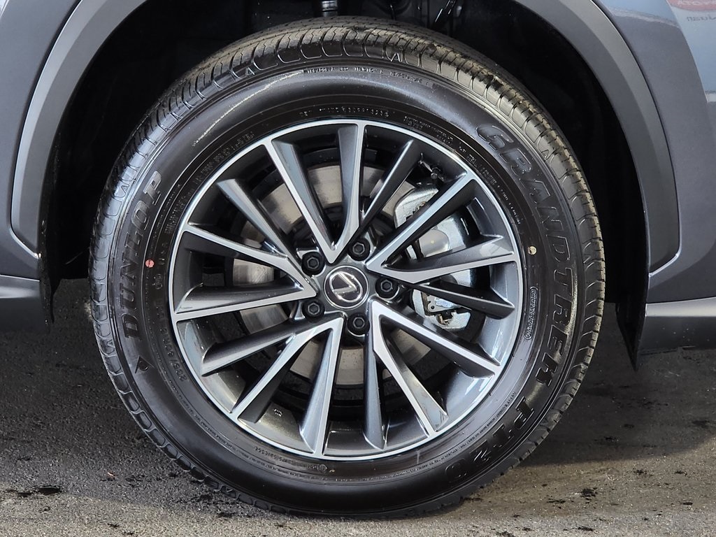 2025 Lexus NX 350 photo 4