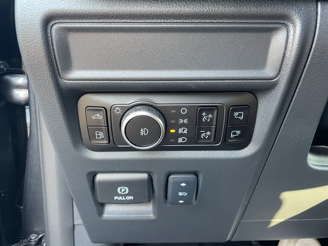 2025 Ford F-150 Platinum photo 28