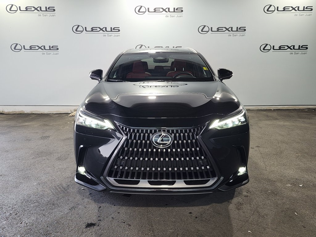 2025 Lexus NX 350h Premium AWD photo 2