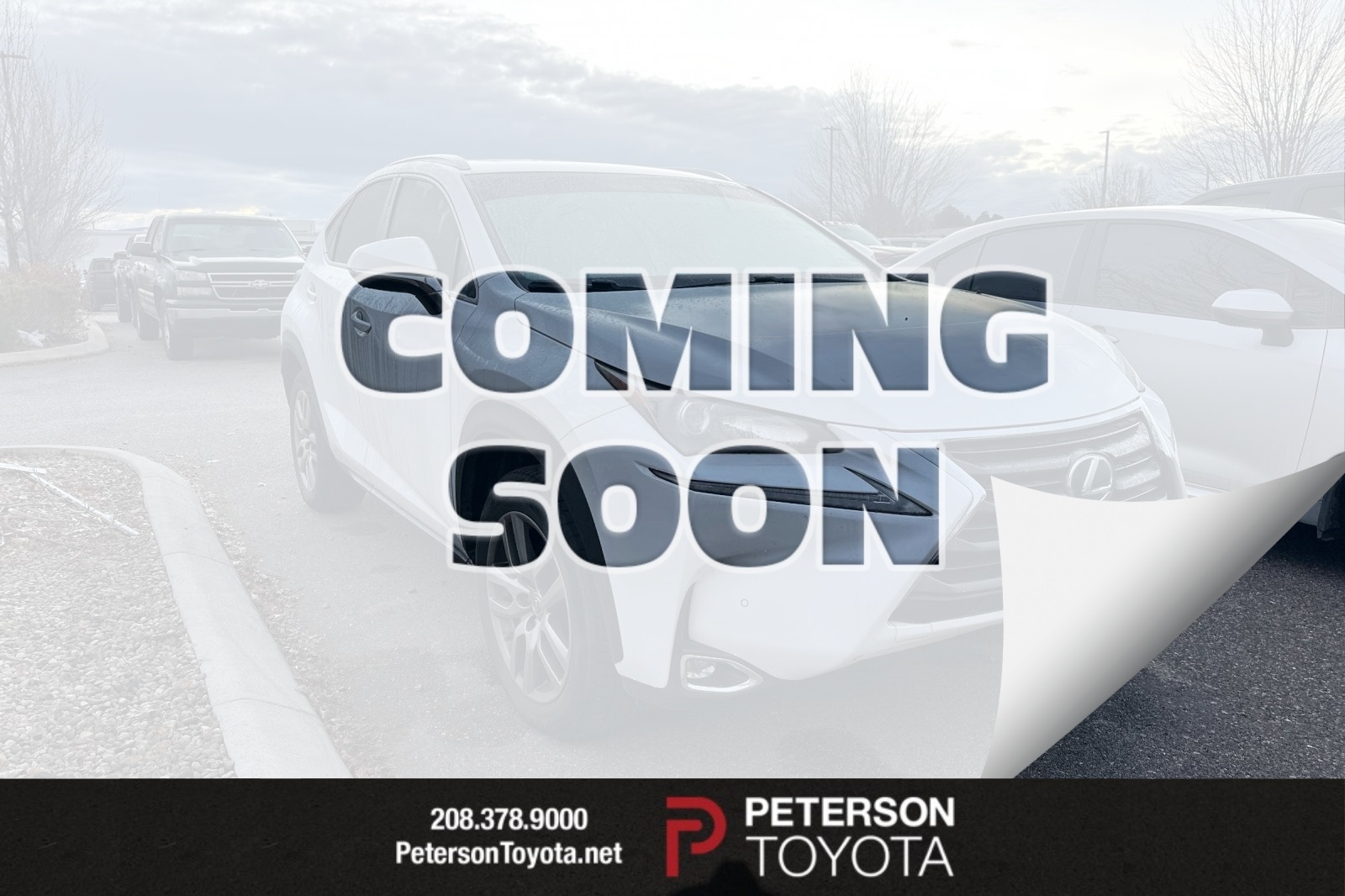 2015 Lexus NX 200t's photo