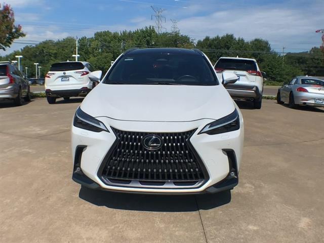 2023 Lexus NX 350 Luxury photo 2
