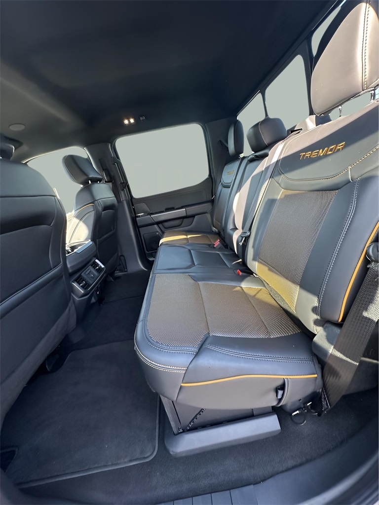 2025 Ford F-150 Tremor photo 10