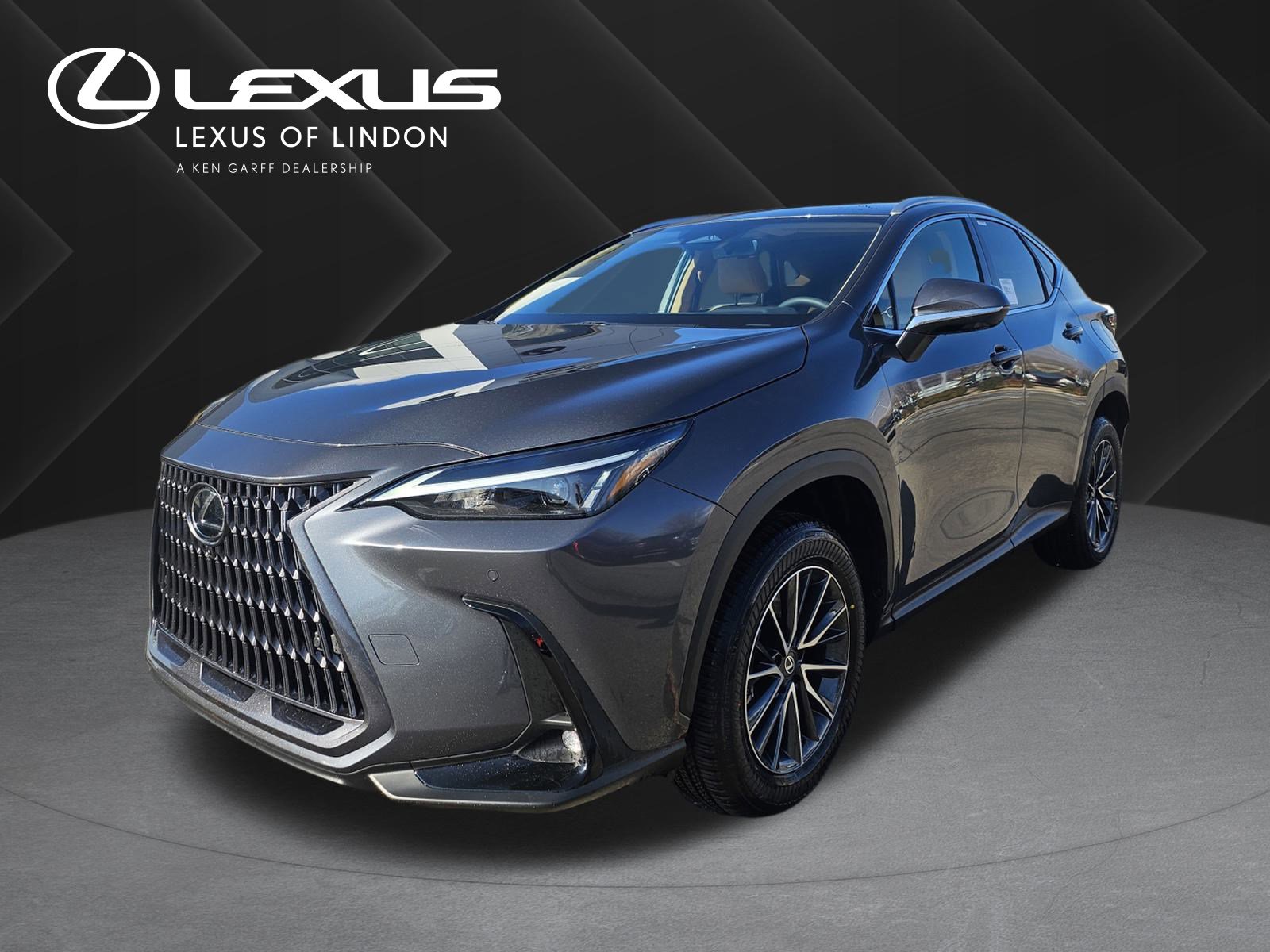 2026 Lexus NX 350's photo