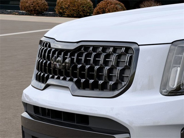 2025 Kia Telluride EX X-Line photo 10