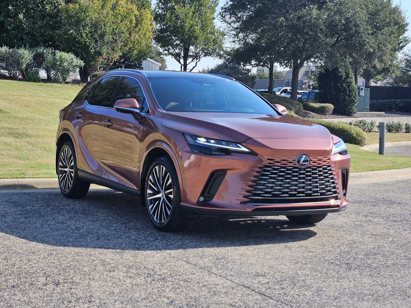 2023 Lexus RX Premium photo 2