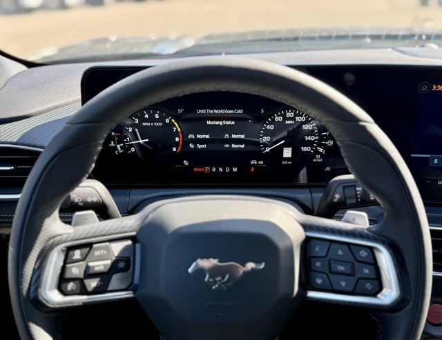 2025 Ford Mustang GT Premium photo 14