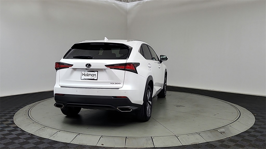 2018 Lexus NX 300 Luxury photo 5
