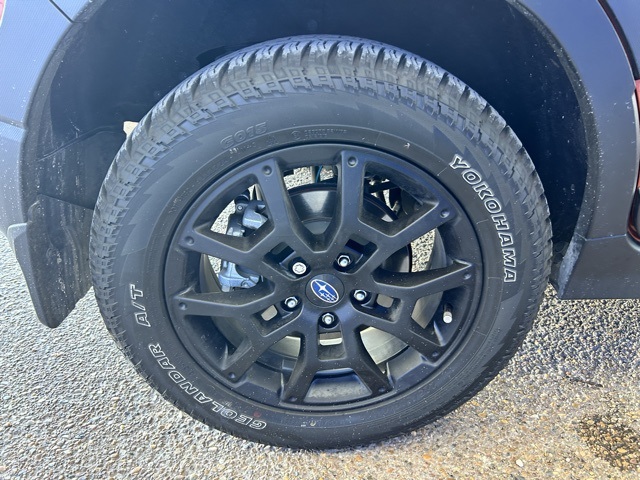 2025 Subaru Crosstrek Wilderness photo 18
