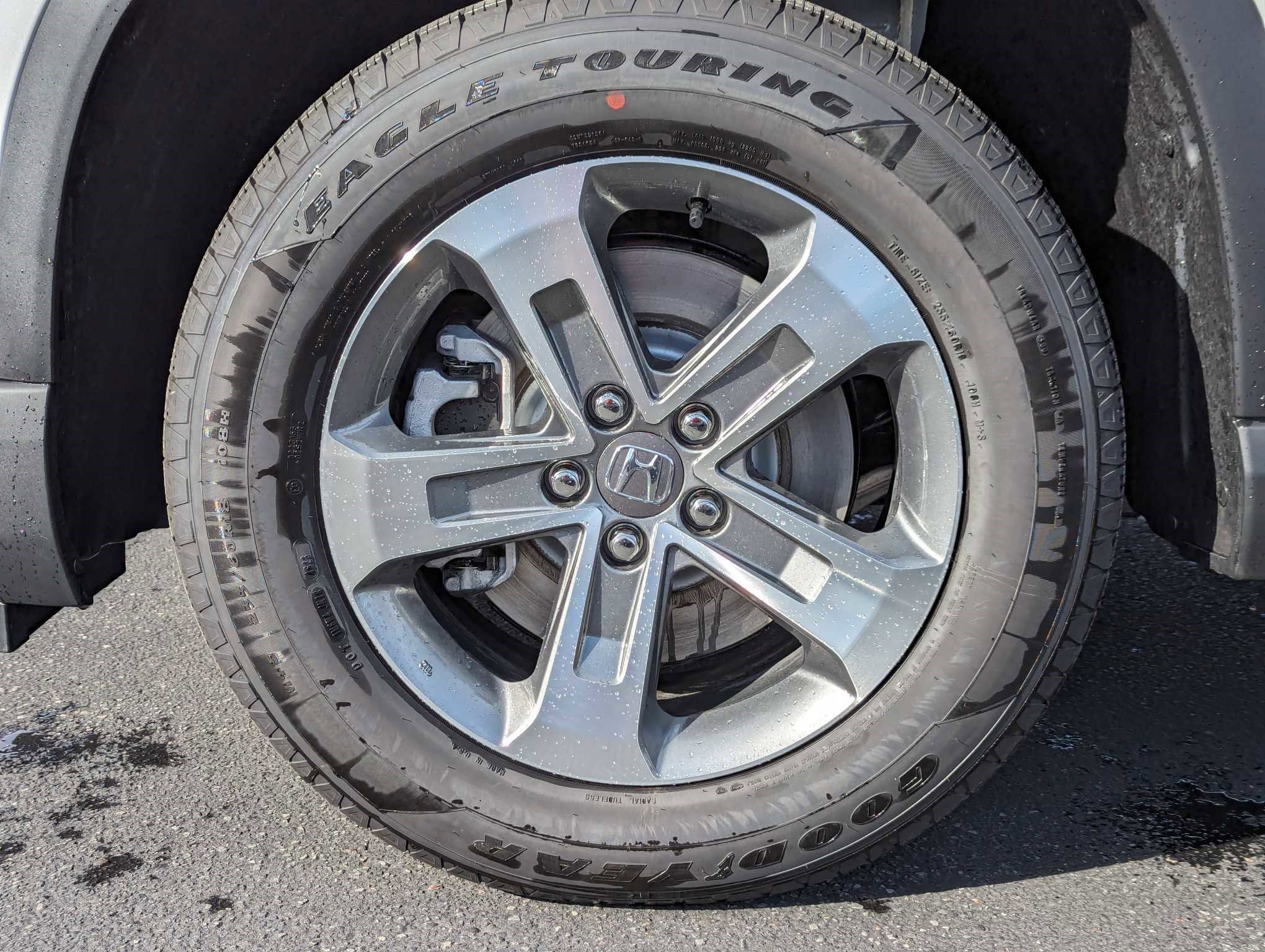 2025 Honda Pilot EX-L photo 7