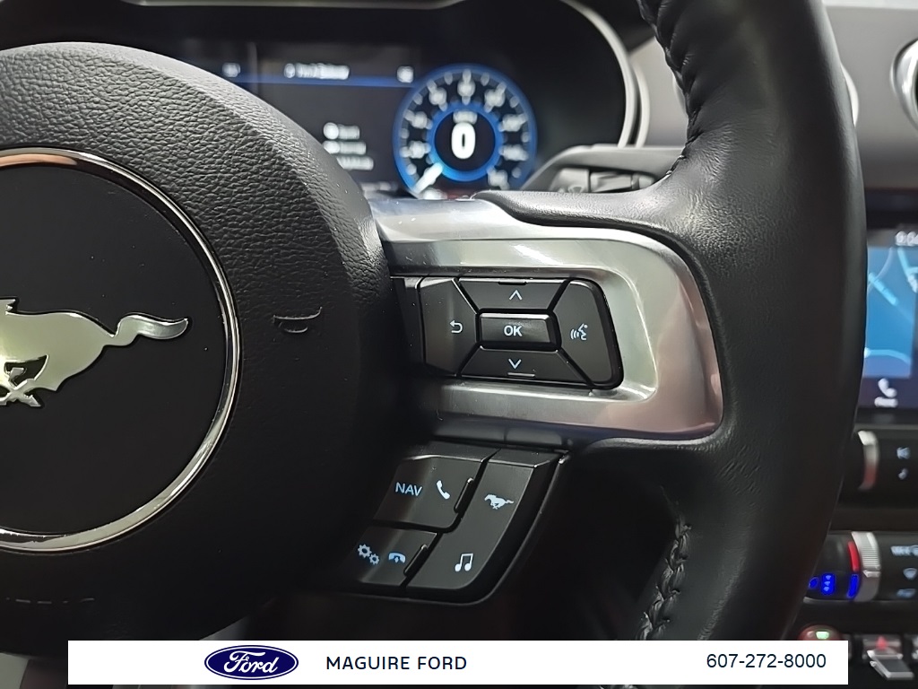 2019 Ford Mustang GT Premium photo 19