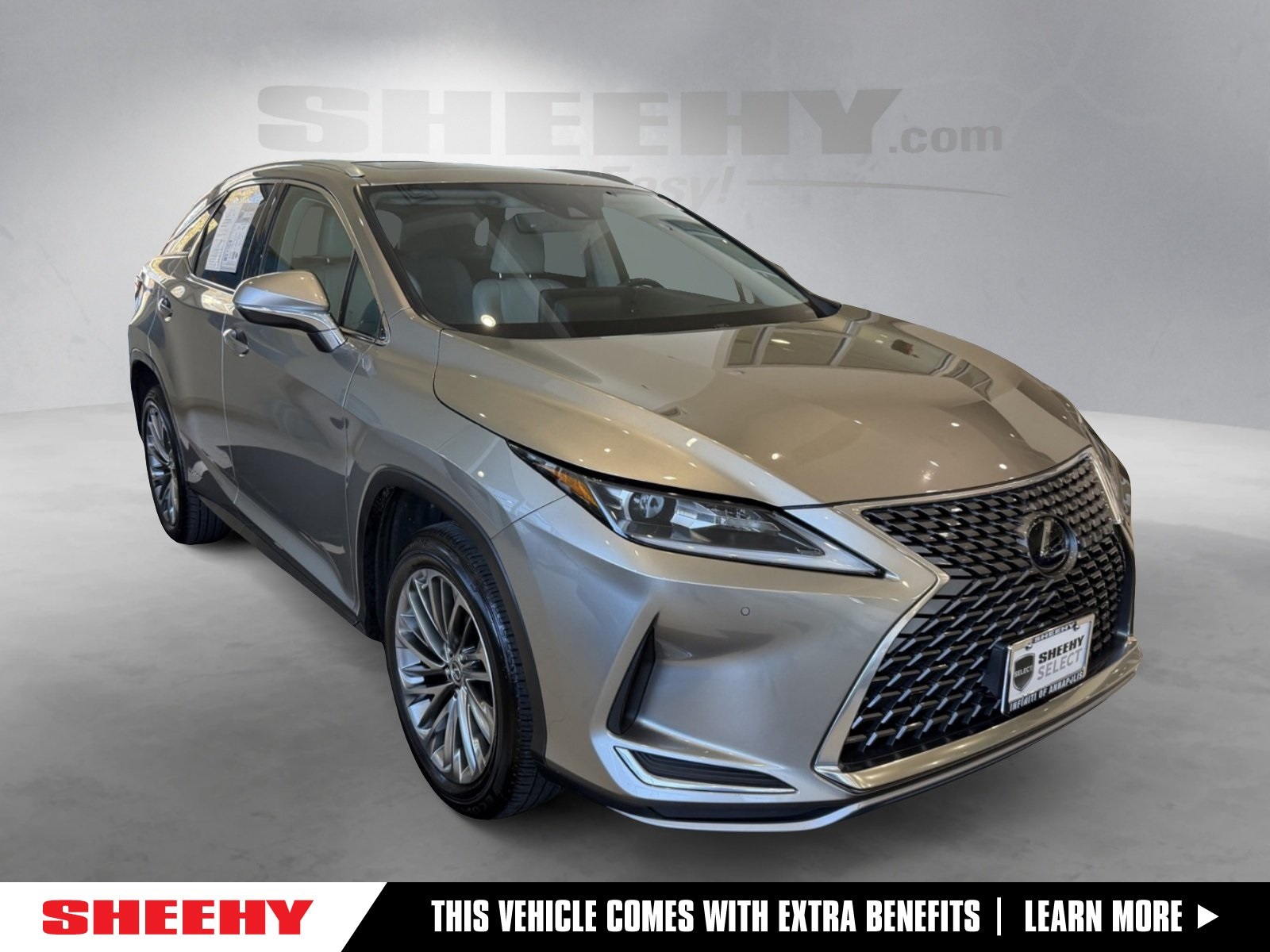 2020 Lexus RX Hybrid 450h's photo