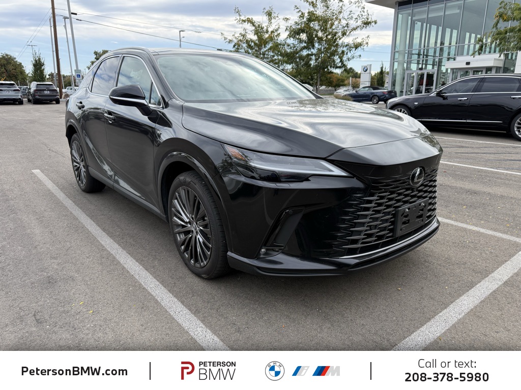 2023 Lexus RX 350h Premium photo 2