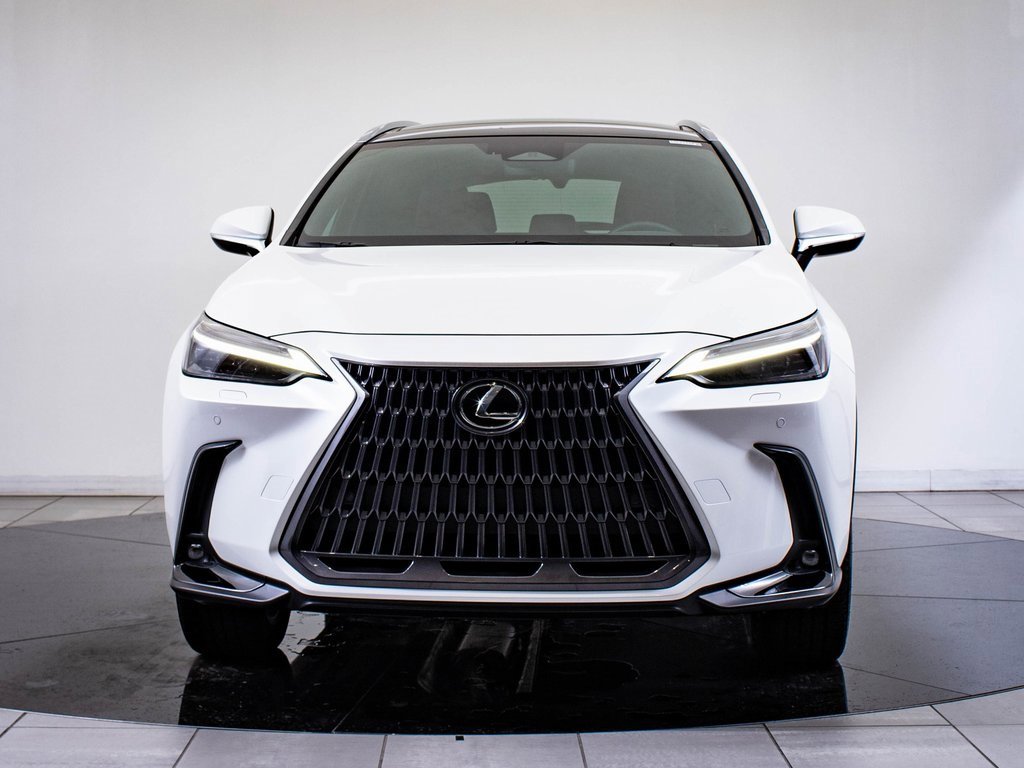 2024 Lexus NX 350 Luxury AWD photo 2