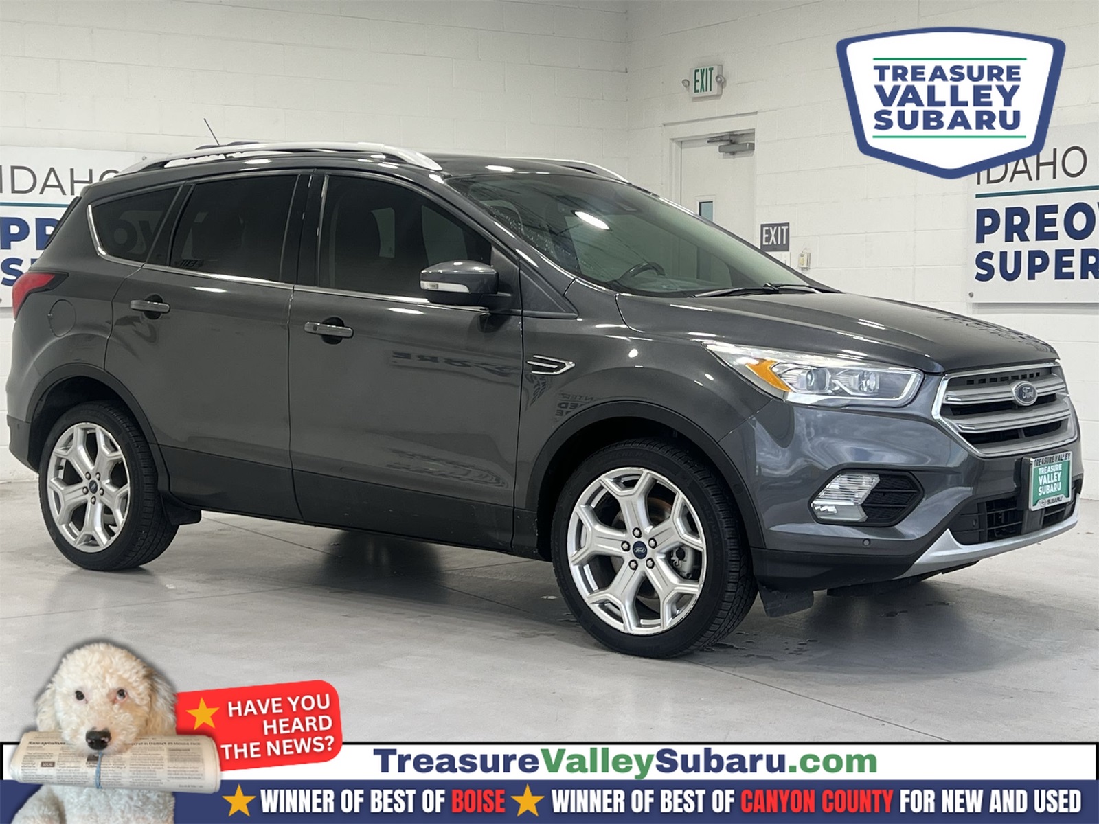 2019 Ford Escape