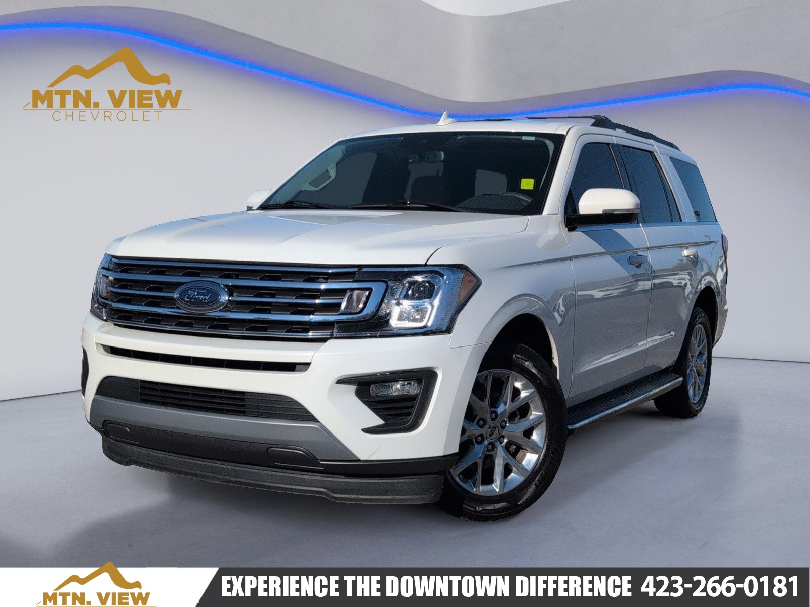 2020 Ford Expedition XLT's photo