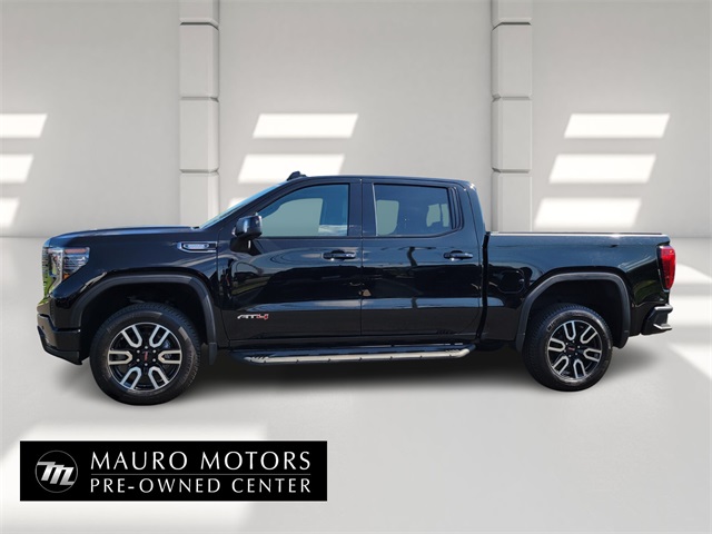 2023 Gmc Sierra 1500 AT4 photo 6