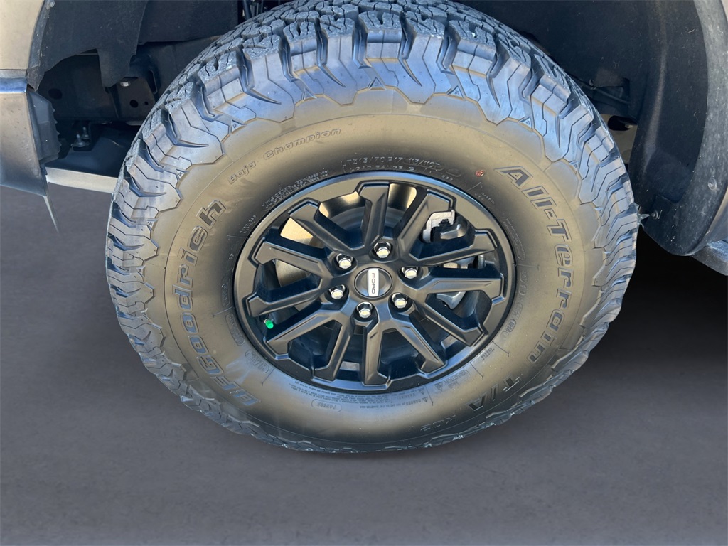 2024 Ford F-150 Raptor photo 9