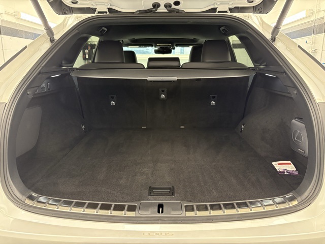 2024 Lexus RX 350h photo 21