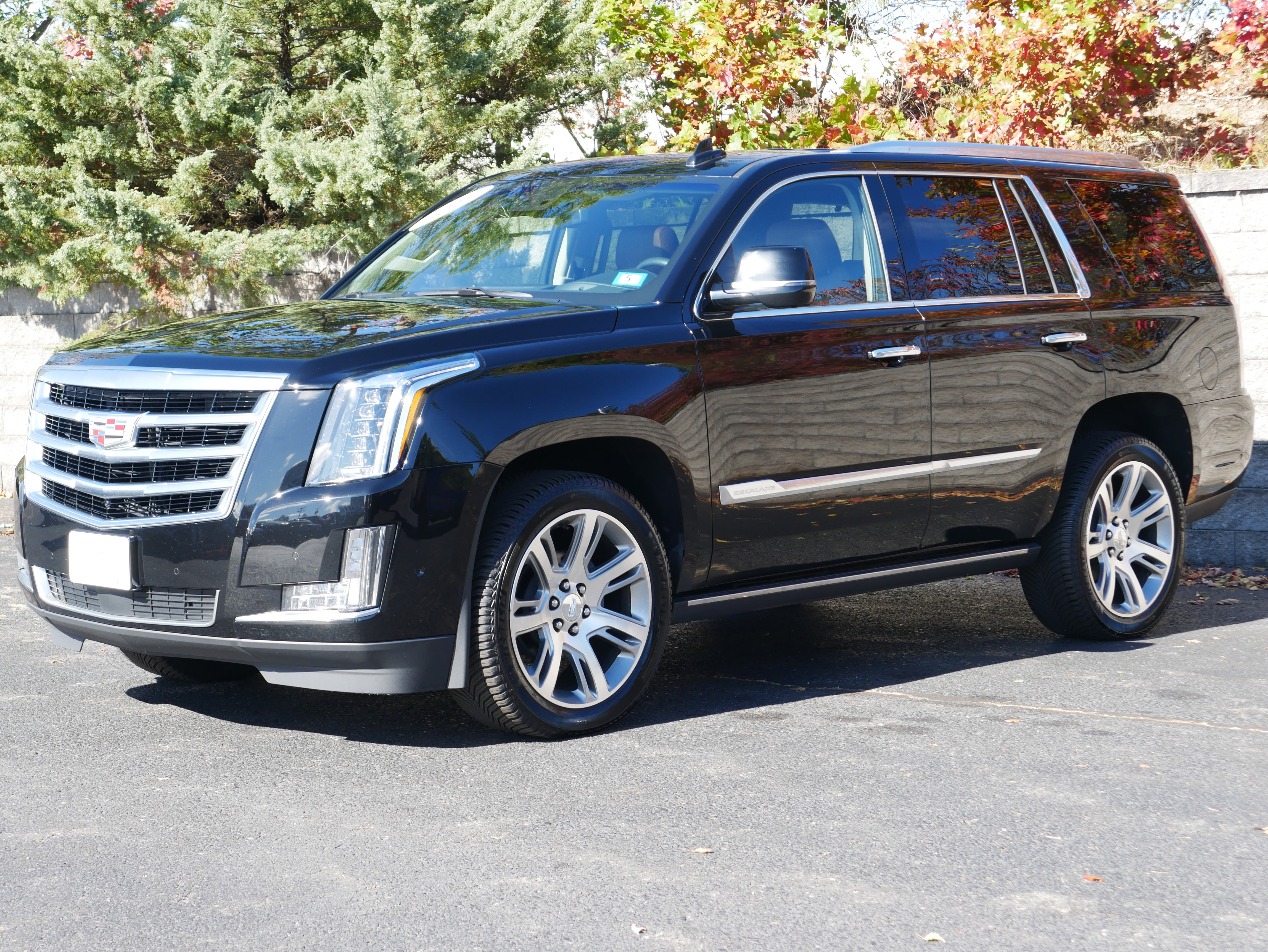 2017 Cadillac Escalade Premium Luxury's photo