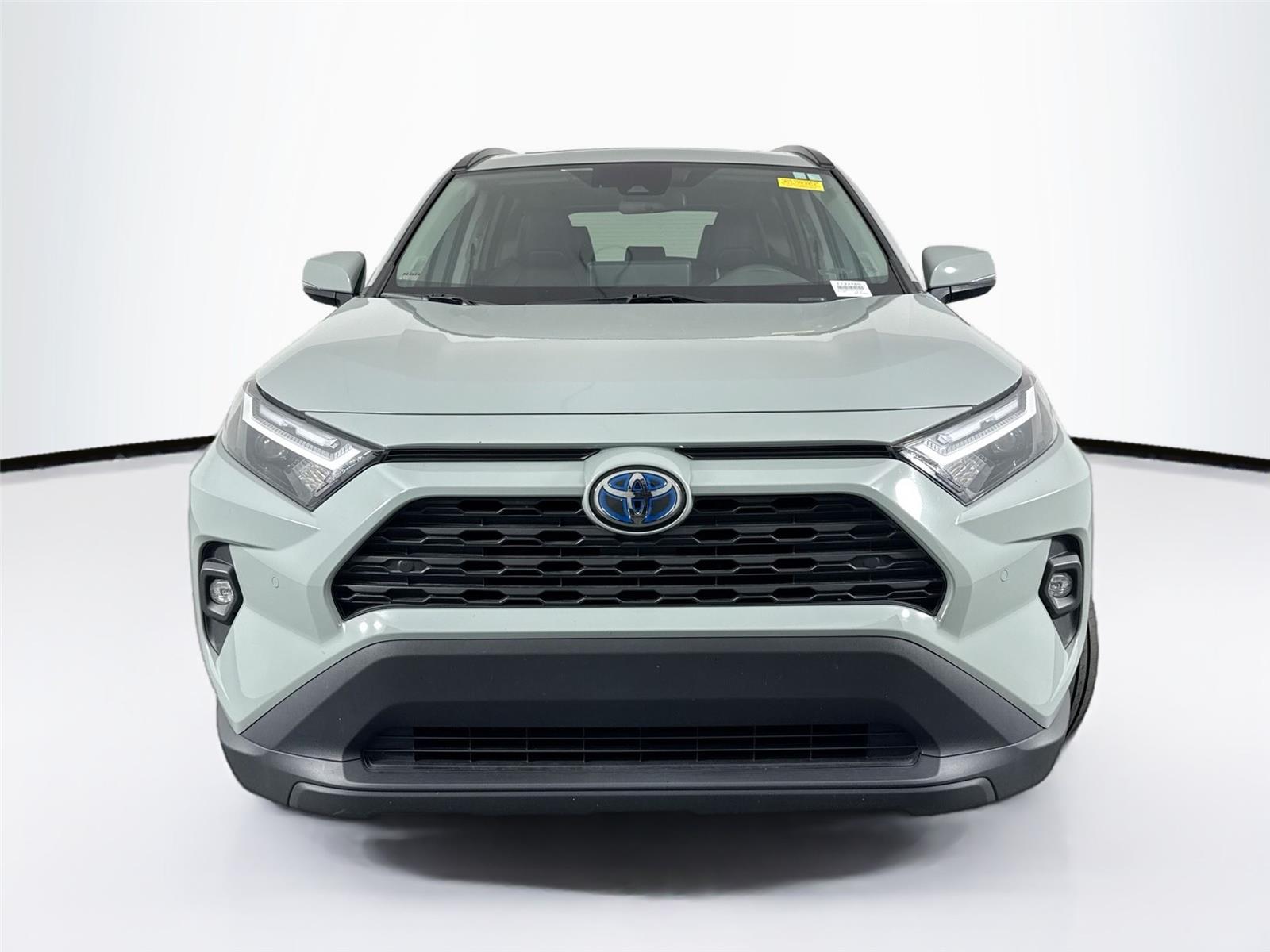 2023 Toyota RAV4 Hybrid XLE Premium photo 3