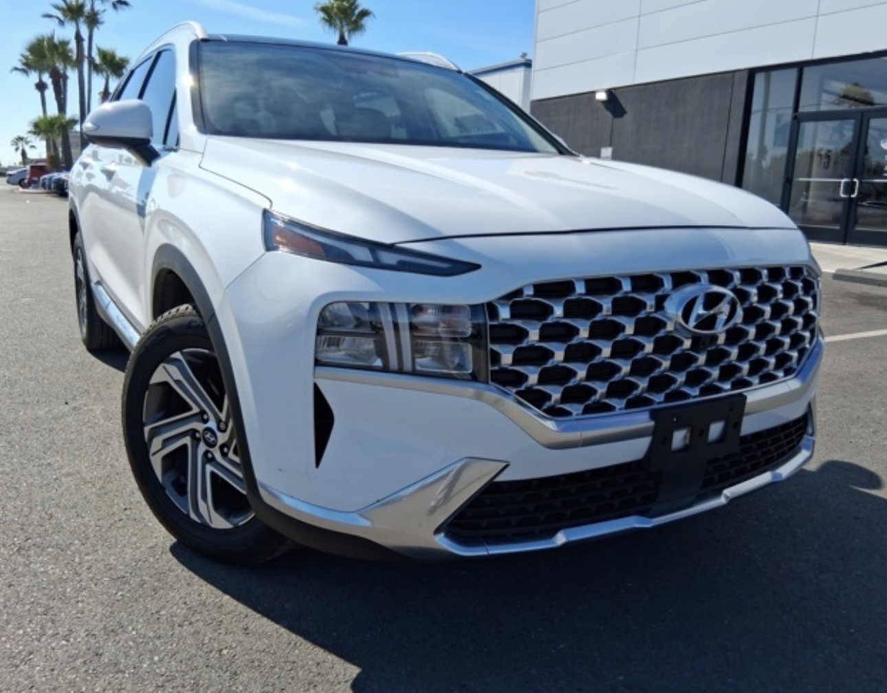 2023 Hyundai Santa Fe SEL's photo