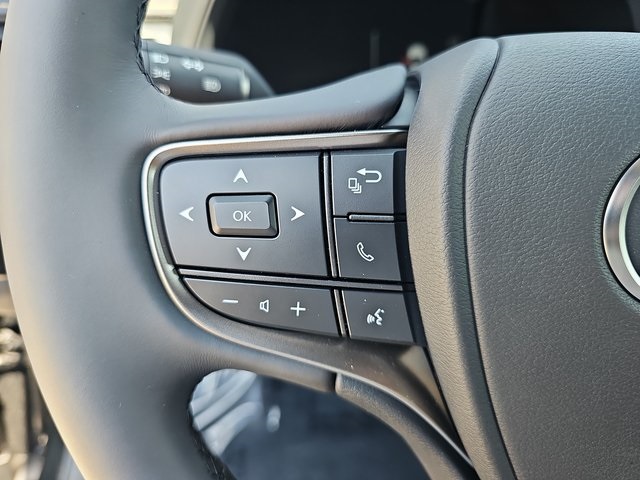 2025 Lexus UX Premium photo 17