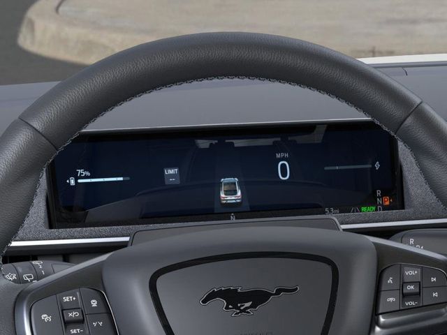 2025 Ford Mustang Mach-E GT photo 13